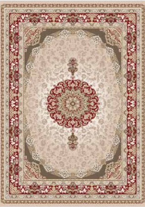 Tapis de salon Anti-Tache سجادة غرفة الجلوس